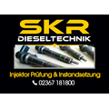 Injektor Einspritzdse Delphi EMBR00101D Citroen Ford...